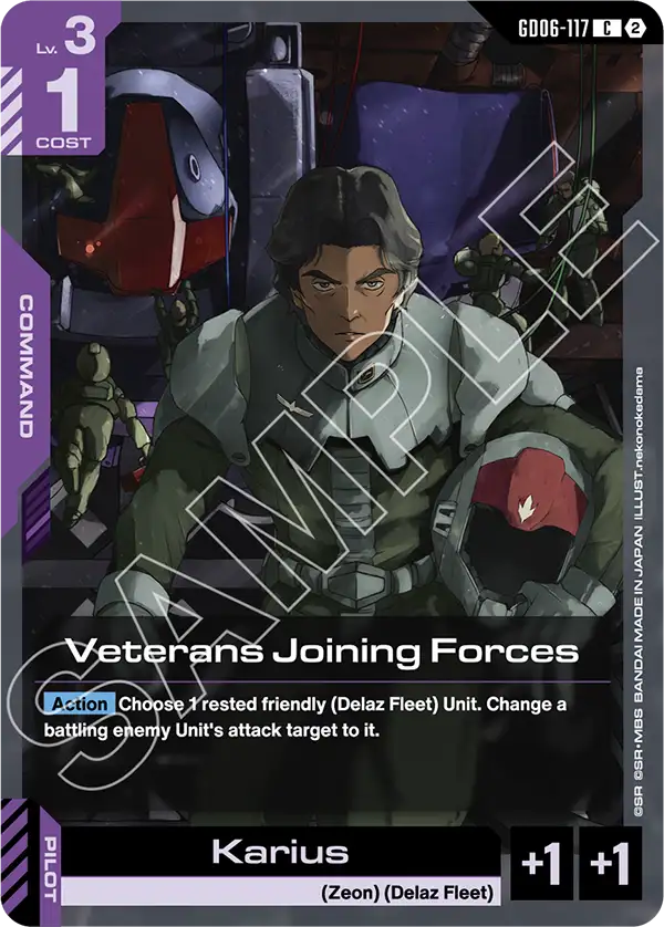 Veterans Joining Forces GD06-117