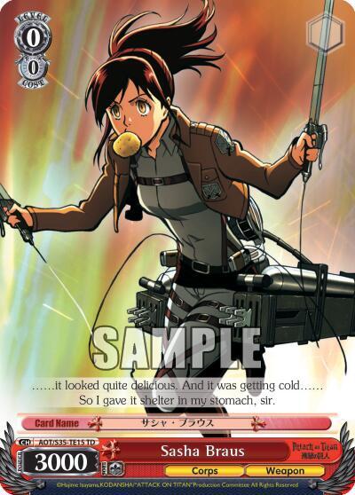 Sasha Braus AOT/S35-TE15 TD