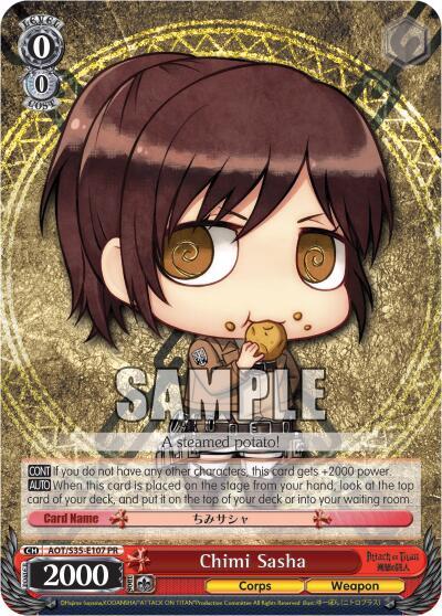 Chimi Sasha AOT/S35-E107 PR