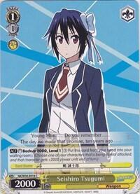 Seishiro Tsugumi NK/W30-E019 C