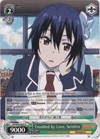 Troubled by Love, Seishiro NK/W30-E037 U