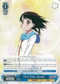 First Visit, Kosaki NK/W30-E080 R
