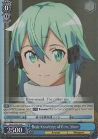 Basic Knowledge of Guns, Sinon SAO/SE23-E25