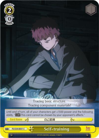 Self-training FS/S34-E031 C