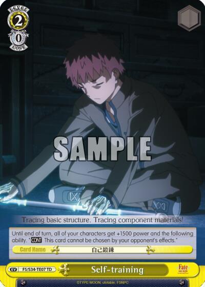 Self-training FS/S34-TE07 TD
