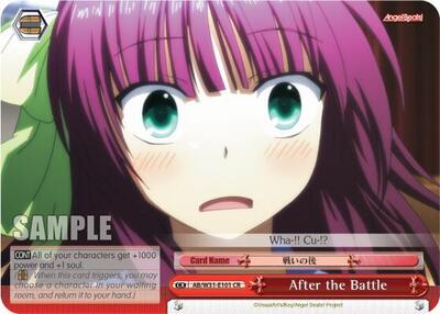 After the Battle AB/W31-E101 CR