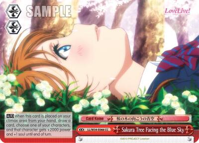 Sakura Tree Facing the Blue Sky LL/W34-E066 CC