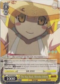 The Way Back, Shinobu Oshino NM/S24-E003
