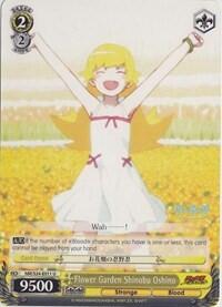 Flower Garden Shinobu Oshino NM/S24-E011