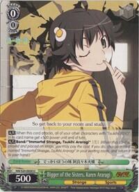 Bigger of the Sisters, Karen Araragi NM/S24-E028