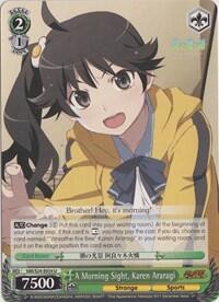 A Morning Sight, Karen Araragi NM/S24-E034