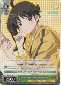 Celebrity of Tsuganoki 2nd Middle School, Karen Araragi NM/S24-E037