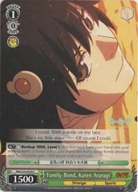 Family Bond, Karen Araragi NM/S24-E039