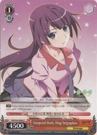 Unexpected Words, Hitagi Senjyogahara NM/S24-E063