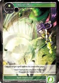 Wall of Wind TMS-064