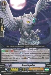Scouting Owl [G Format] 