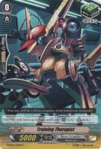 Training Therapist [G Format] 