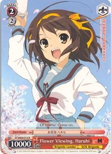 Flower Viewing, Haruhi SY/WE09-E14