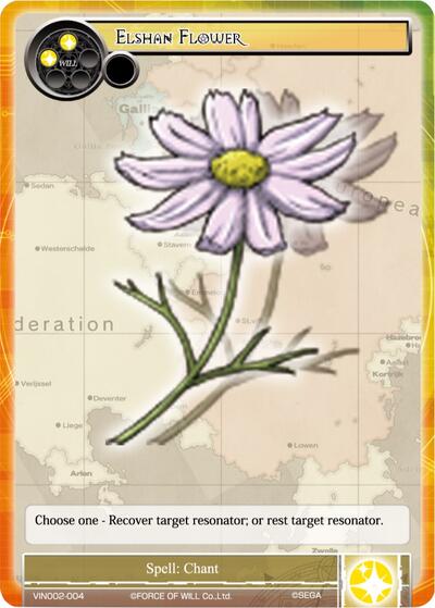 Elshan Flower VIN002-004