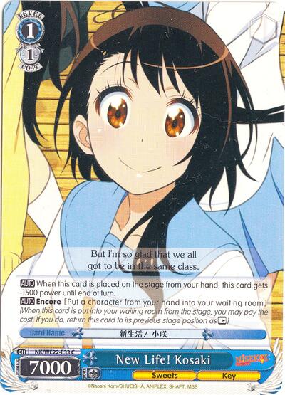 New Life! Kosaki NK/WE22-E33