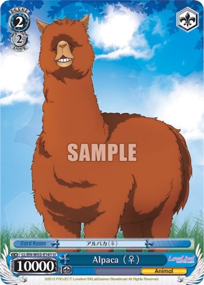 Alpaca