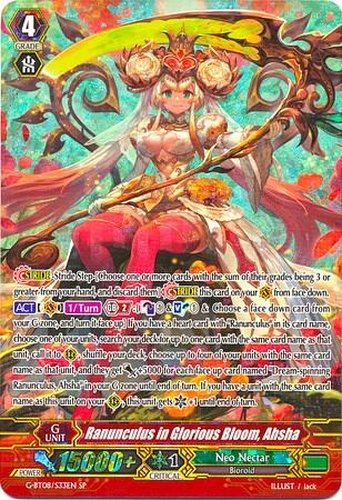 Ranunculus in Glorious Bloom, Ahsha [G Format] G-BT08/S33EN
