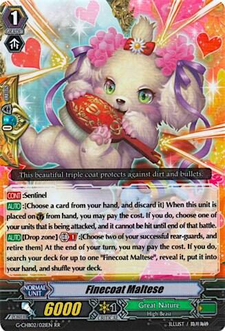 Finecoat Maltese [G Format] G-CHB02/021EN
