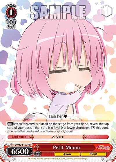 Petit Momo TL/W37-E107 PR
