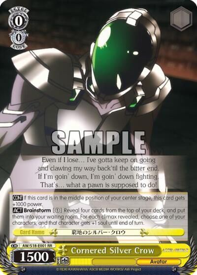 Cornered Silver Crow AW/S18-E001 RR