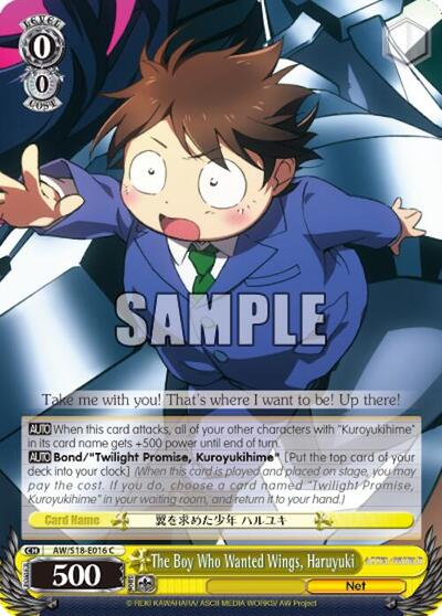 The Boy Who Wanted Wings, Haruyuki AW/S18-E016 C