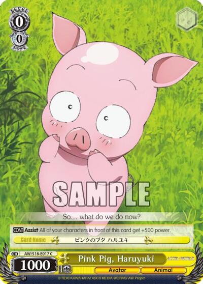 Pink Pig, Haruyuki AW/S18-E017 C