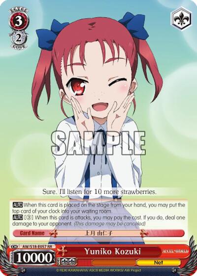 Yuniko Kozuki AW/S18-E057 RR