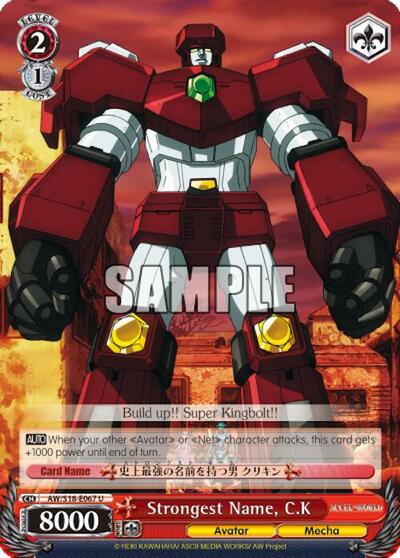 Strongest Name, C.K AW/S18-E067 U
