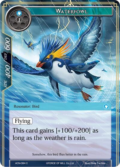 Waterfowl 
