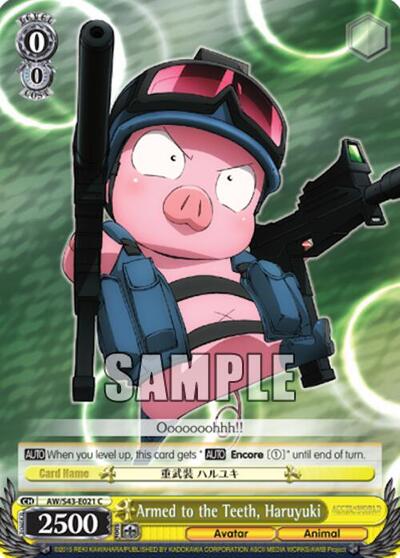 Armed to the Teeth, Haruyuki AW/S43-E021 C