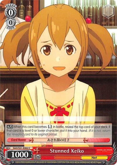 Stunned Keiko SAO/S51-E062 C