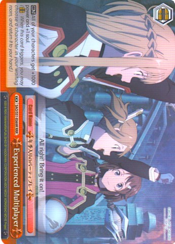 Experienced Multiplayer SAO/S51-E069 RRR