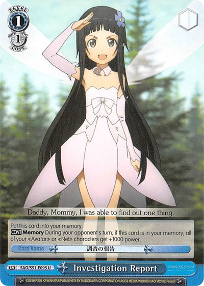 Investigation Report SAO/S51-E095 U