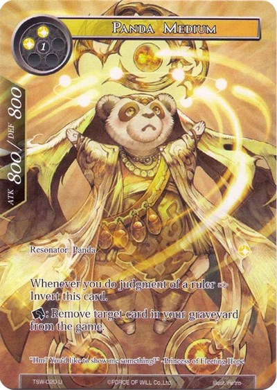 Panda Medium // Possessed Panda 