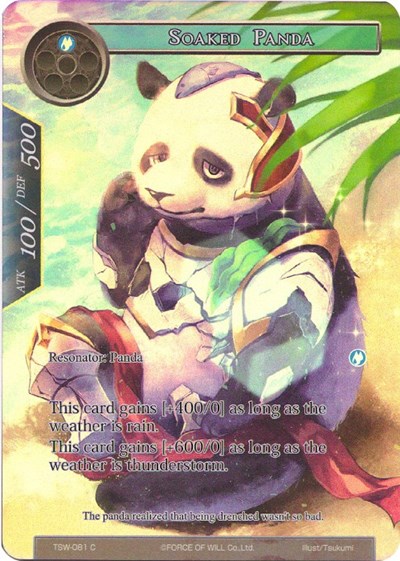 Soaked Panda — The Time Spinning Witch