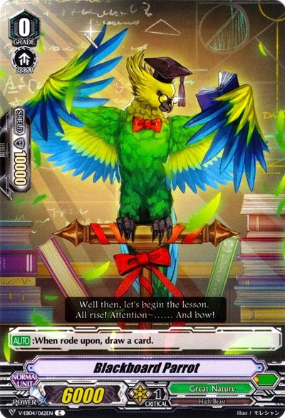 Blackboard Parrot [V Format] V-EB04/062EN