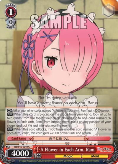 A Flower in Each Arm, Ram RZ/S46-E049 C
