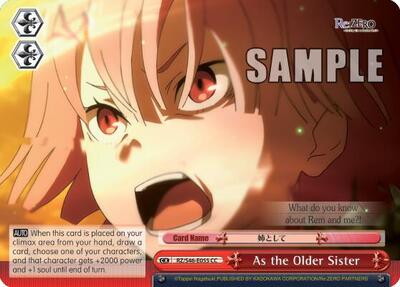 As the Older Sister RZ/S46-E055 CC