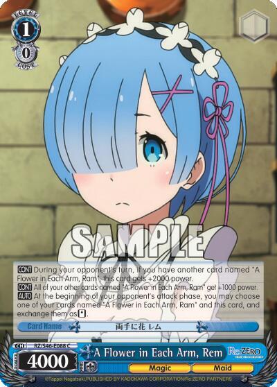 A Flower in Each Arm, Rem RZ/S46-E088 C