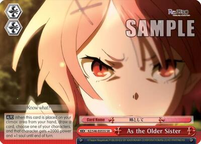 As the Older Sister RZ/S46-E055S SR