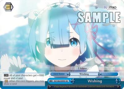 Wishing RZ/S46-E099S SR