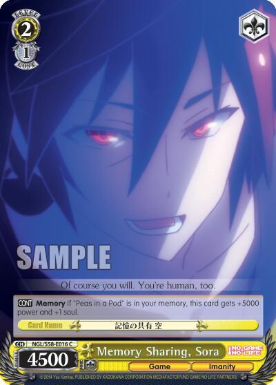 Memory Sharing, Sora NGL/S58-E016 C