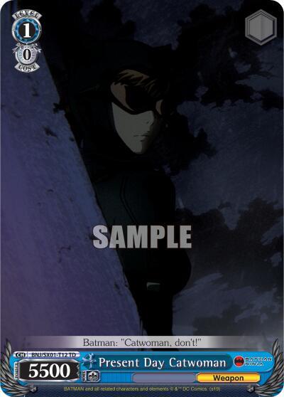 Present Day Catwoman BNJ/SX01-T12 TD