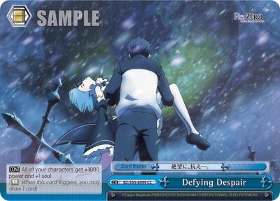 Defying Despair RZ/S55-E099 CC