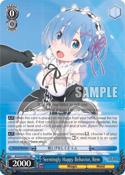 Seemingly Happy Behavior, Rem RZ/S55-E057 RR